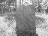 Kretinga Jewish Cemetery 059_matzeva_small