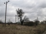 Zuromin_1